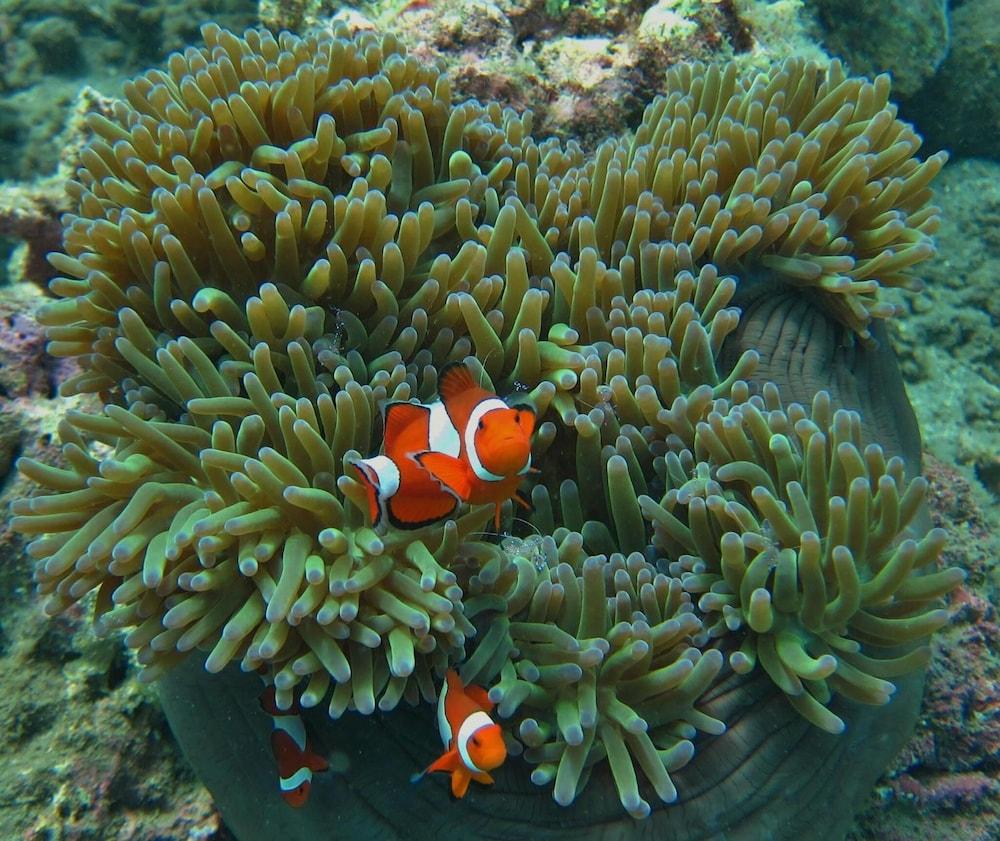 Ten Moons Lipe Resort Eksteriør bilde